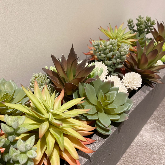 プリザーブドフラワー